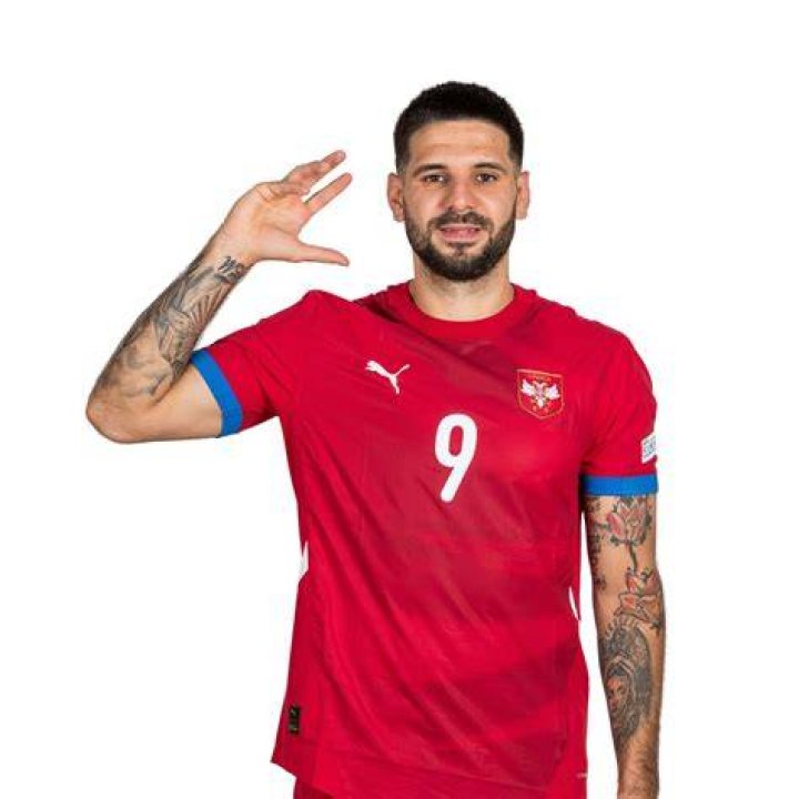 Aleksandar Mitrovic