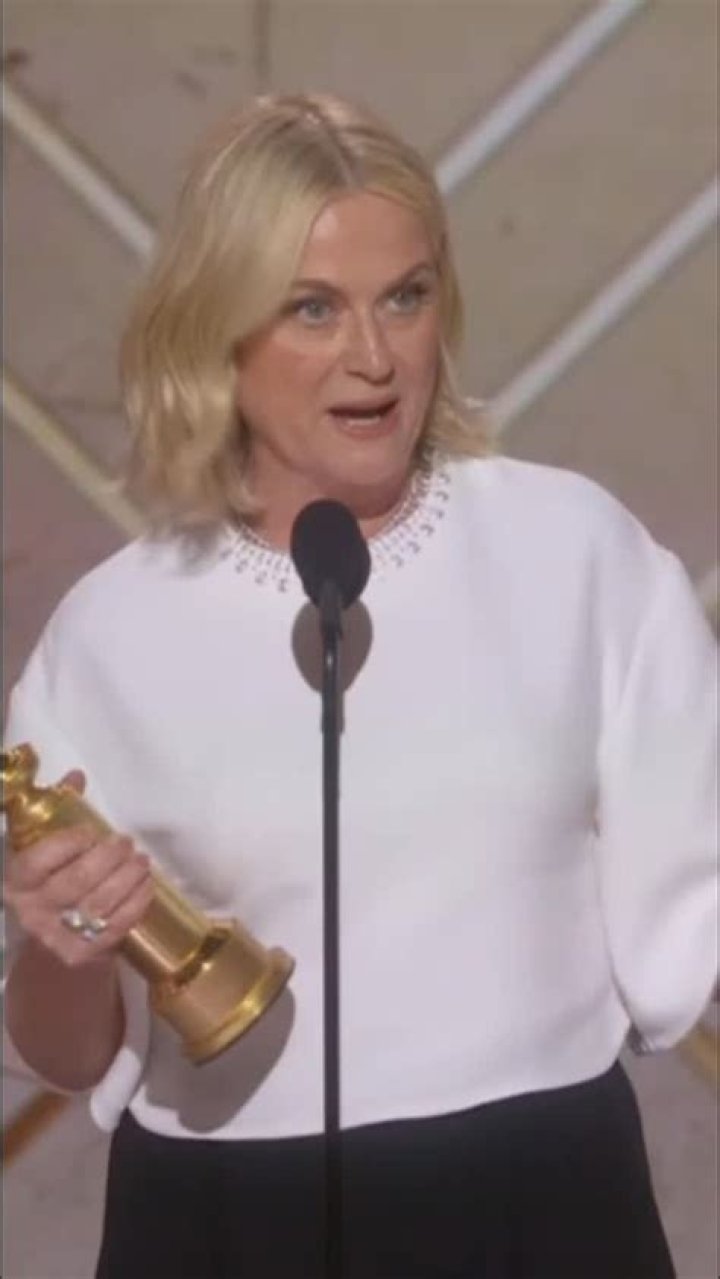 Amy Poehler notable achievements