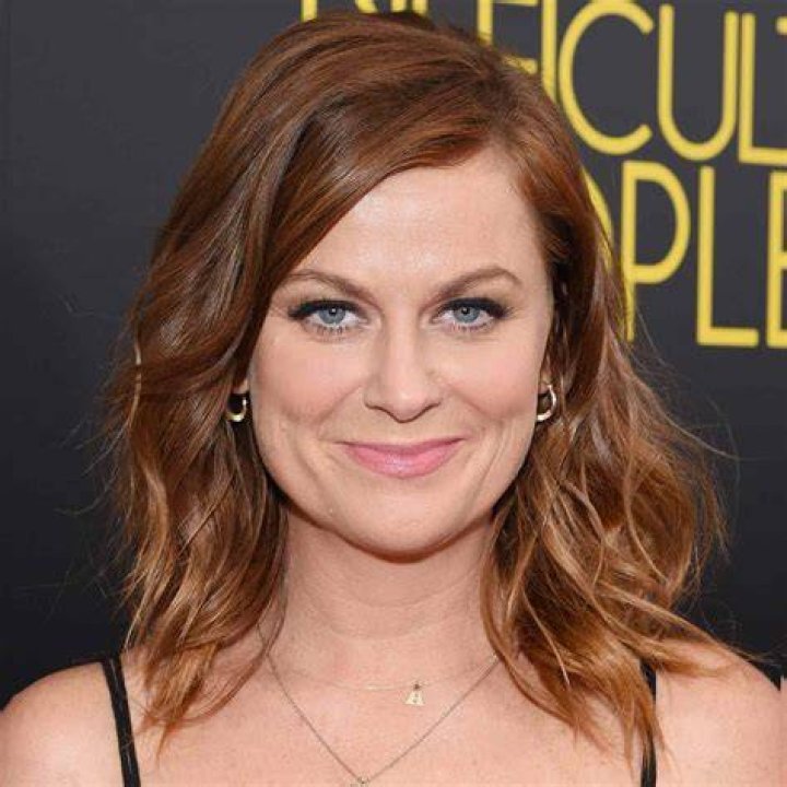 Amy Poehler Real Estate