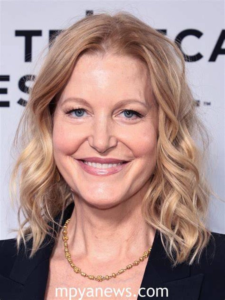 anna gunn net worth anna gunn net worth