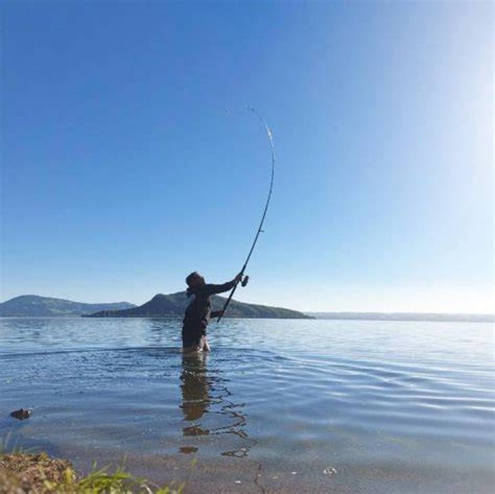 Anything for fishing.