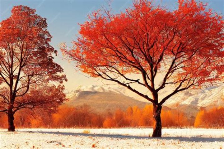 Autumn Falls Autumn Falls