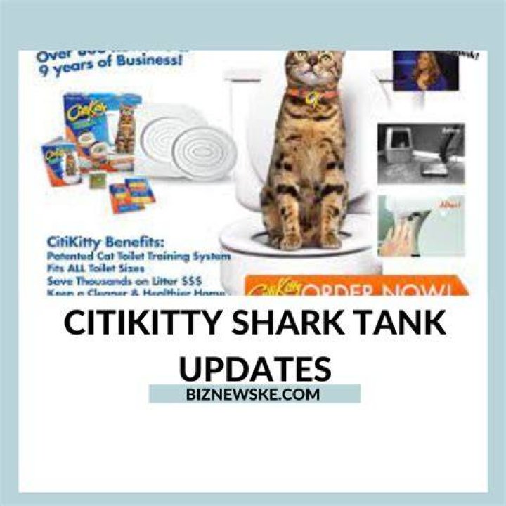 CitiKitty product expansion
