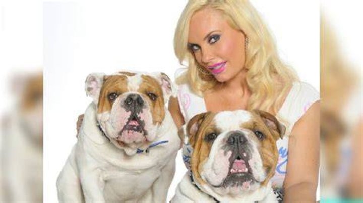 coco austin animal rights