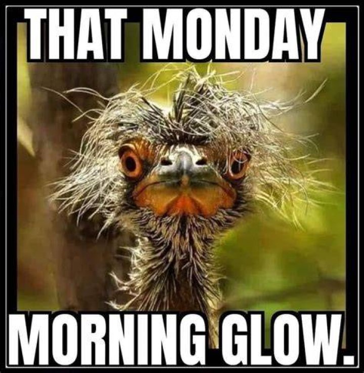 Crazy Monday memes