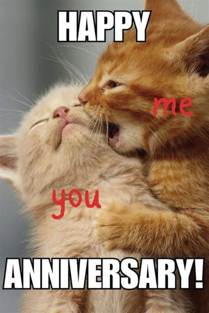 cute anniversary meme