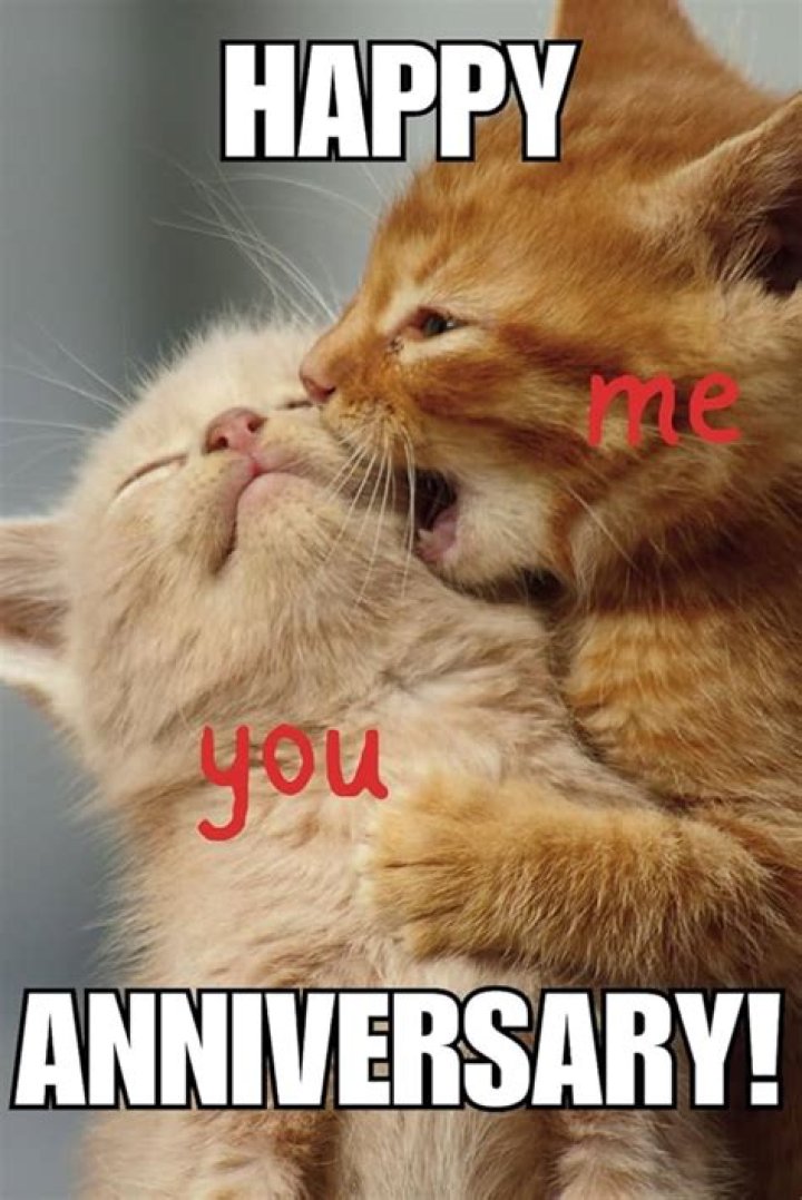 Cute anniversary memes