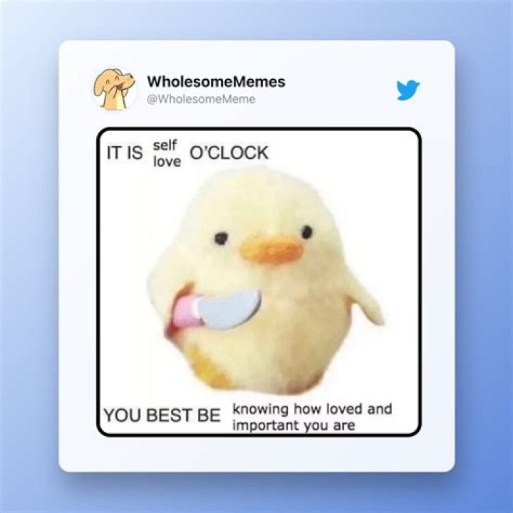 Cute meme on the Internet.