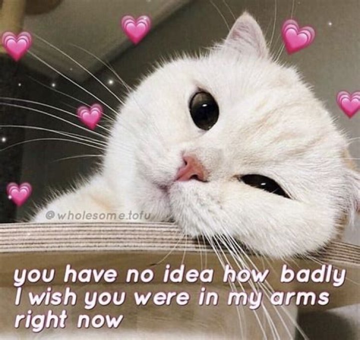 Cute memes ideas to share 