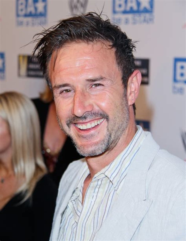 david arquette career david arquette career