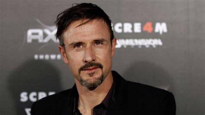 david arquette net worth david arquette net worth