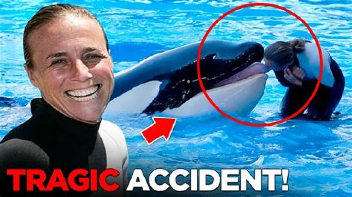 Tilikum Kills Dawn Leaked Footage: Watch Dawn Brancheau Video Dawn Brancheau Viral Video