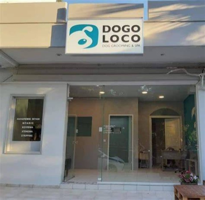 Dogo Loco's Photo
