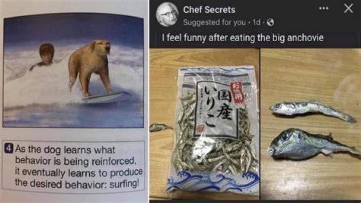 dumb jokes that are funny dumb jokes that are funny