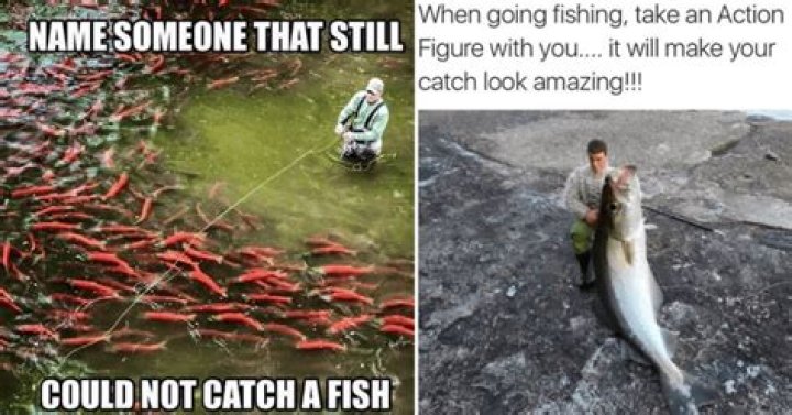 Fishing memes collected for you