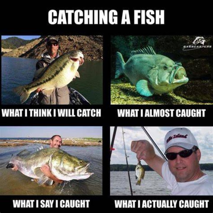 fishing memes