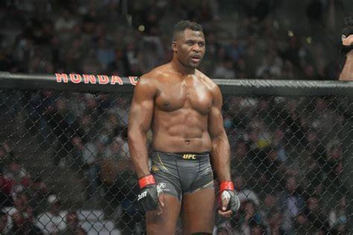 francis ngannou ufc francis ngannou ufc
