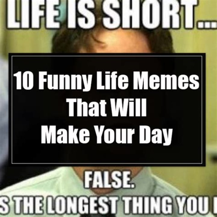 Funny Life Memes