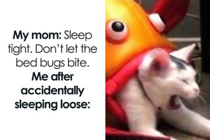 Funny meme to share with your BFF