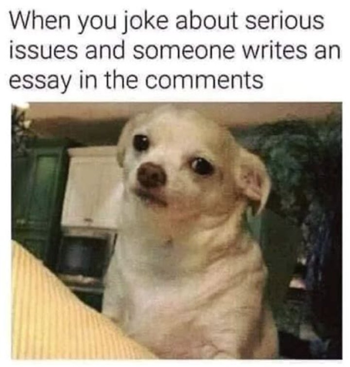 funny memes collected for your laughter
