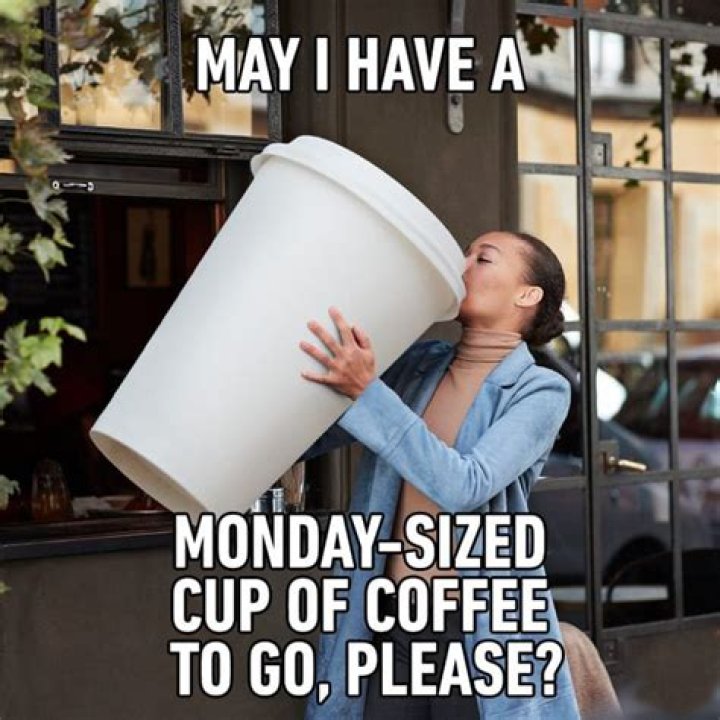 Funny Monday memes collection