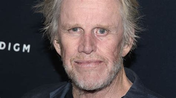 Gary Busey