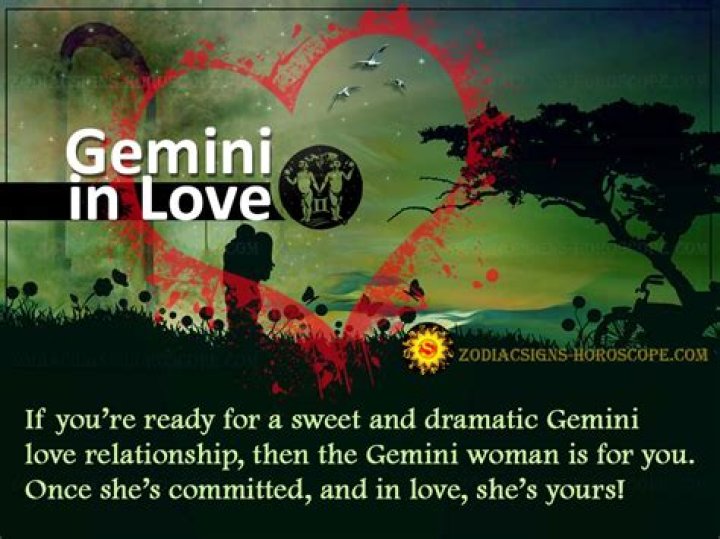 Gemini Love