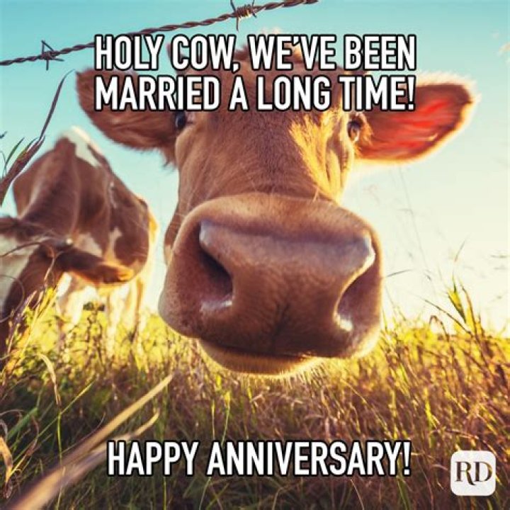 Happy Anniversary memes