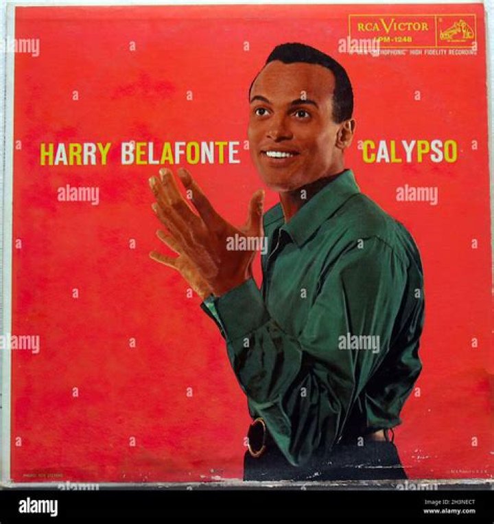 Harry Belafonte's Son, David Belafonte