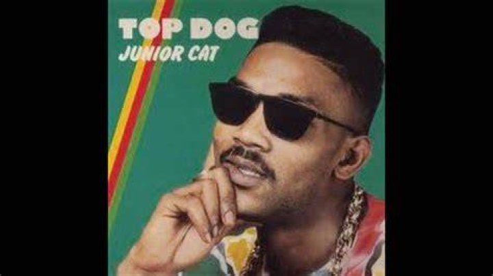 Heavenless Riddim - Junior Cat - Would a let you go - shottas soundtrack - soundtrack shottas hermanos en el crimen