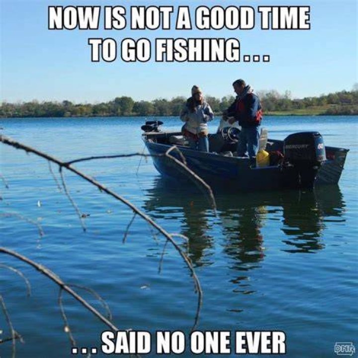Hilarious Fishing memes 