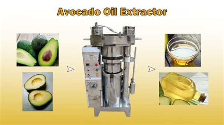 How to extract avocado oil from the seed How to extract avocado oil from the seed