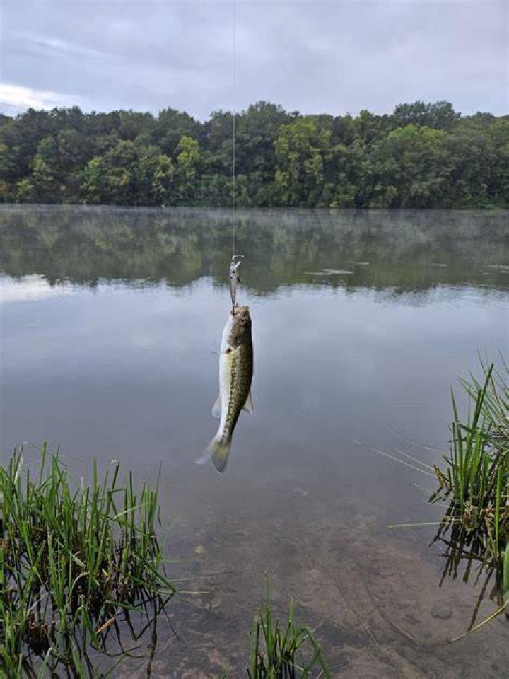 I caught my fish in the water.