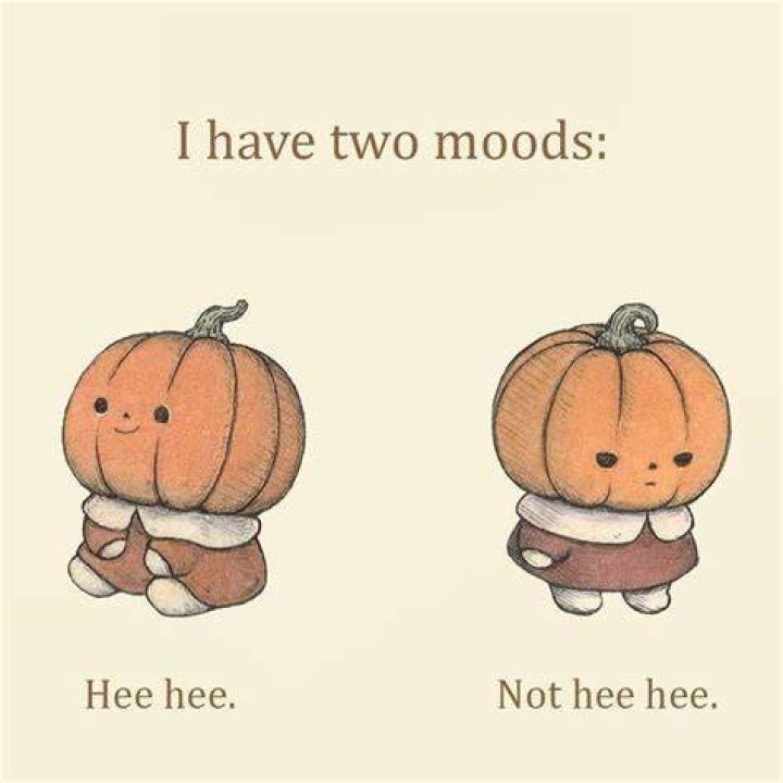 I have two moods.