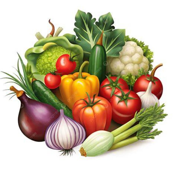 illustrations of vegetables