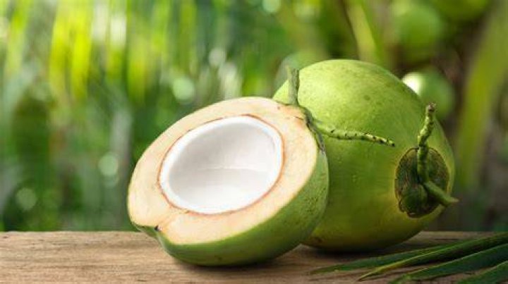 is coconut: a fruit