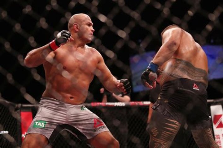 junior dos santos fighting style