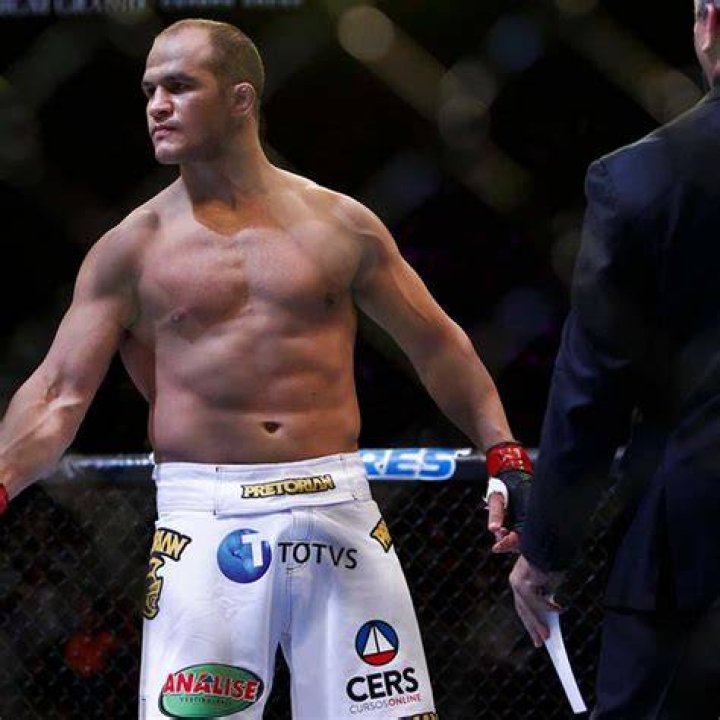 Junior Dos Santos professional background