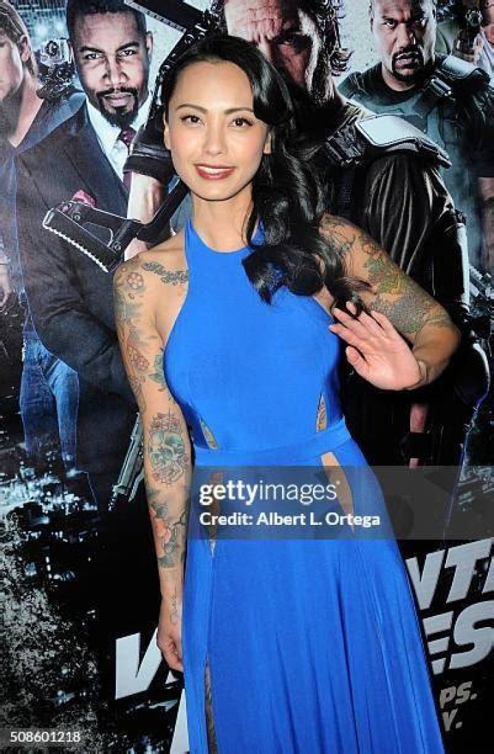 levy tran net worth