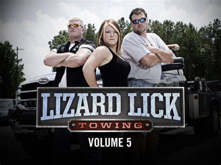 Lizard Lick Towing image