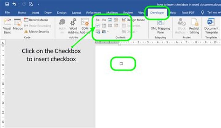 Microsoft Word checkbox