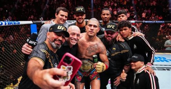 MMA community's stance on domestic violence