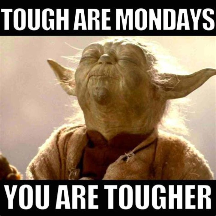 Monday memes collected for you