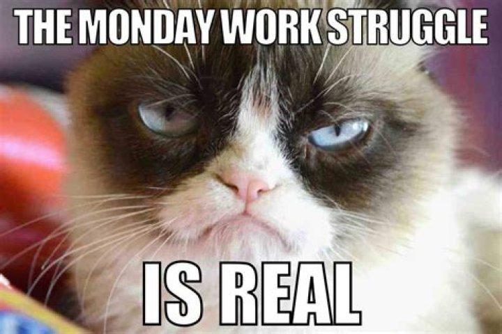 Monday memes