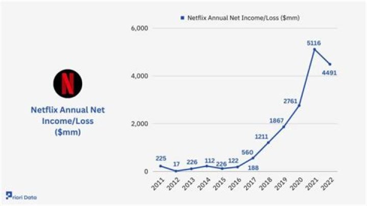 netflix net worth