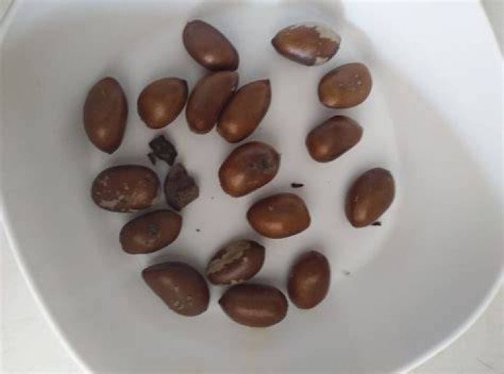 Nutmeg for pepper soup with intestine recipe Nutmeg for pepper soup with intestine recipe
