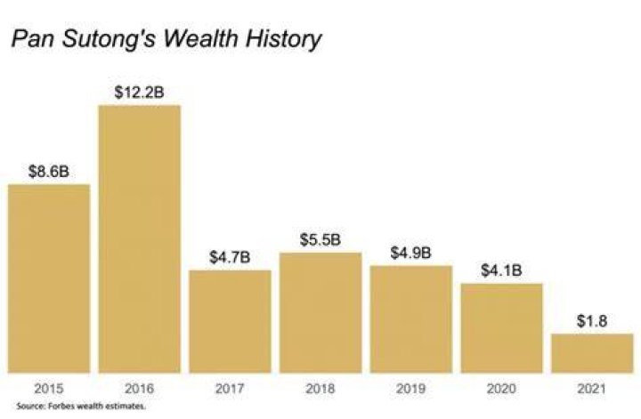 pan sutong net worth