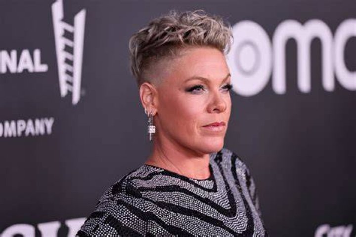 pink singer charitable contributions