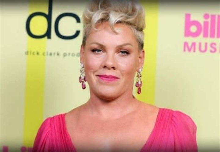 pink singer influence