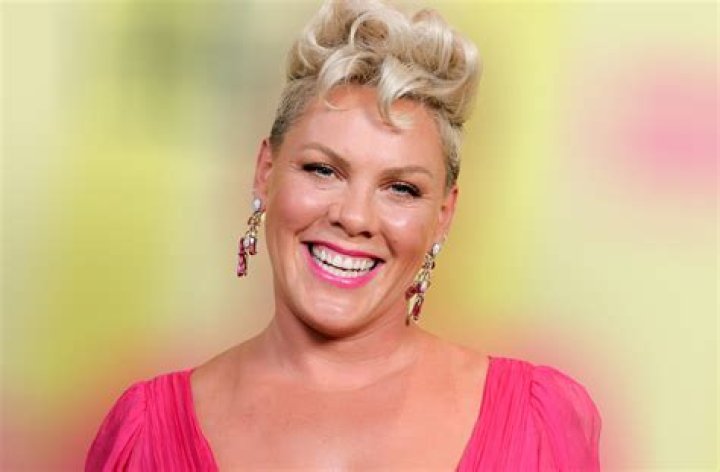 pink singer net worth